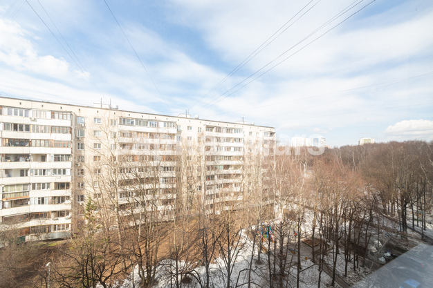 Вид из окна в квартире на ул Академика Павлова, д 21 к 1