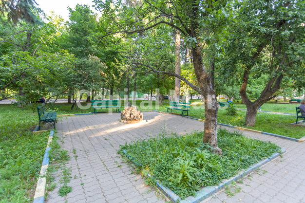 Двор в квартире на пр-кт Ленинский, д. 91, к. 2