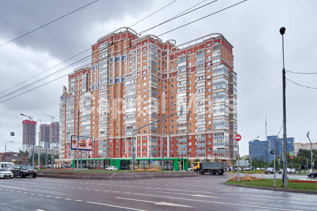 Фасад в квартире на пр-кт Мичуринский, д 34