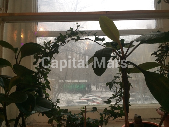Вид из окна в квартире на ул Маршала Новикова, д 4 к 1