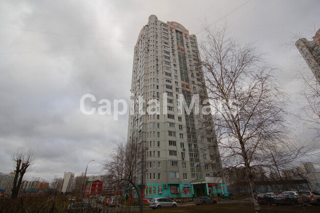 Фасад в квартире на ул Верхние Поля, д 45 к 1