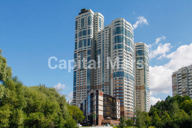 Фасад в квартире на пр-кт Ленинский, д 111 к 1