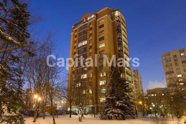 Фасад в квартире на ул Удальцова, д 26 к 1