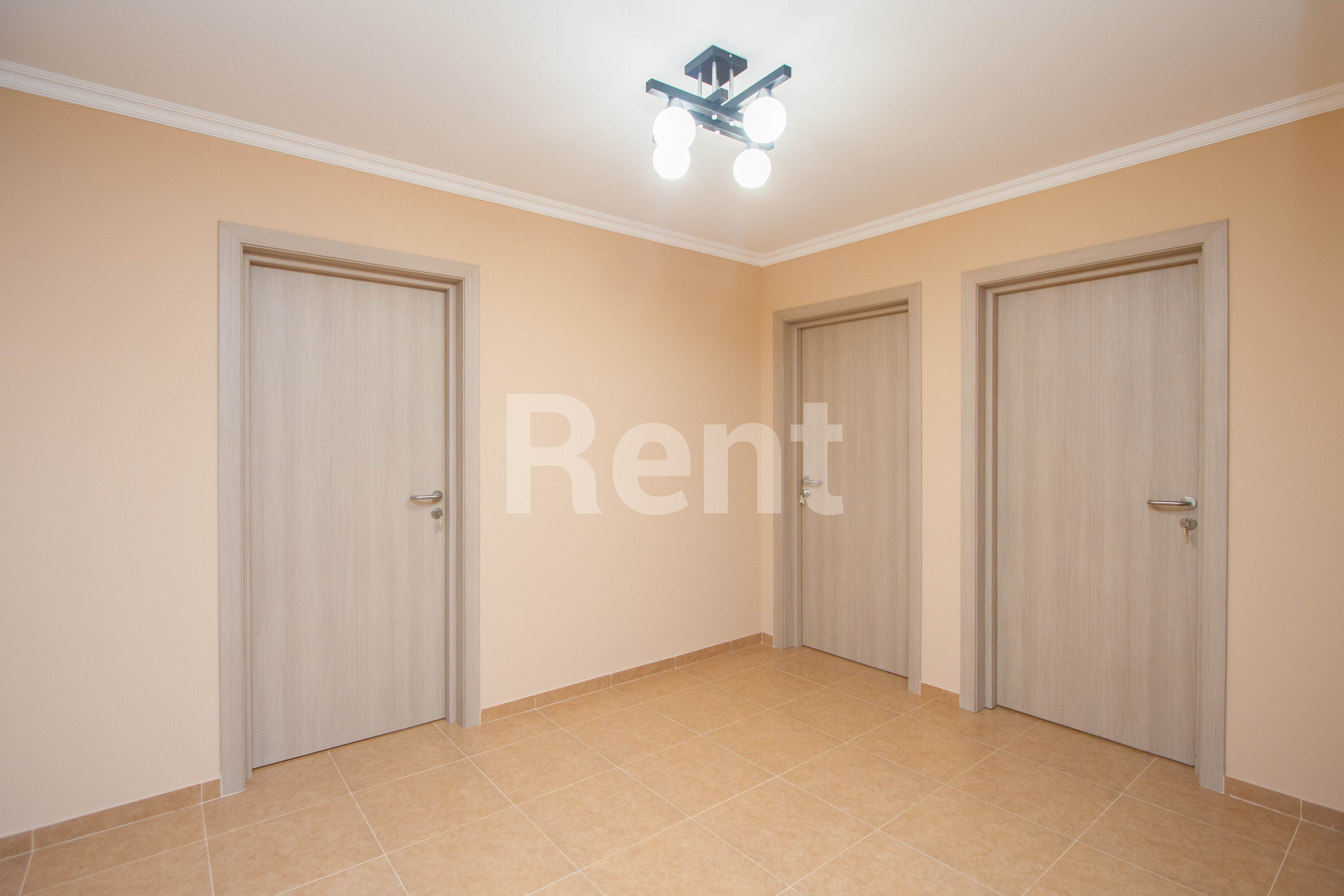 Холл в квартире на ул Академика Миллионщикова, д 20А