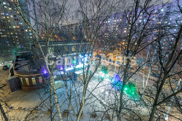 Вид из окна в квартире на ул. Конёнкова, д. 5