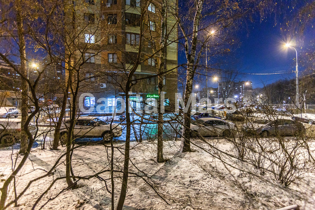 Вид из окна в квартире на ул. Удальцова, д. 65А