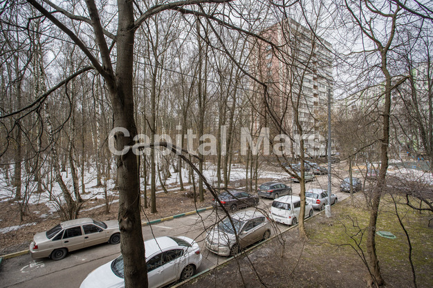Вид из окна в квартире на ул Академика Павлова, д 27 к 1