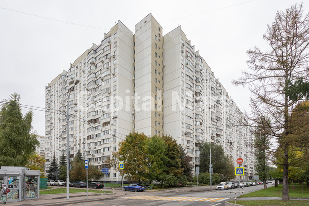 Фасад в квартире на ул Новочерёмушкинская, д 50