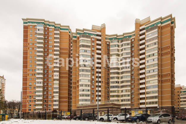 Фасад в квартире на пр-кт Мичуринский, д 26