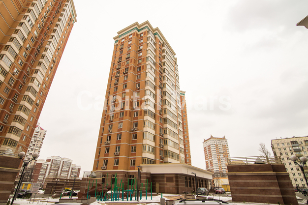 Фасад в квартире на пр-кт Мичуринский, д 26