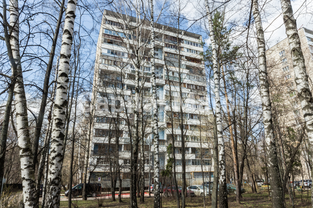 Фасад в квартире на ул Нежинская, д 15 к 2